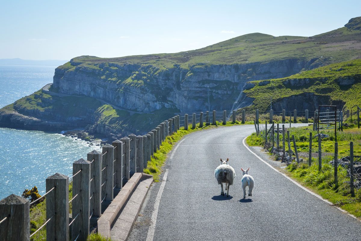 Great Orme Country Park — days out from The Rosedene