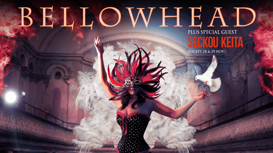 Bellowhead plus support