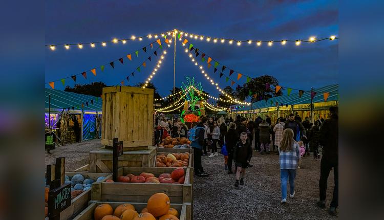 Pumpkin Fest Nights